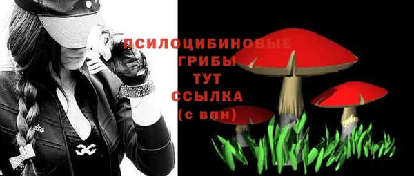 прущий лед Алзамай