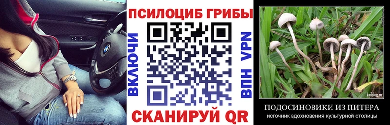 Псилоцибиновые грибы Psilocybe  Лысьва 