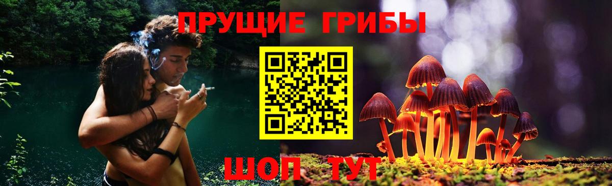 Галлюциногенные грибы прущие грибы  Вход с VPN  Псилоцибиновые грибы GOLDEN TEACHER  Лысьва 